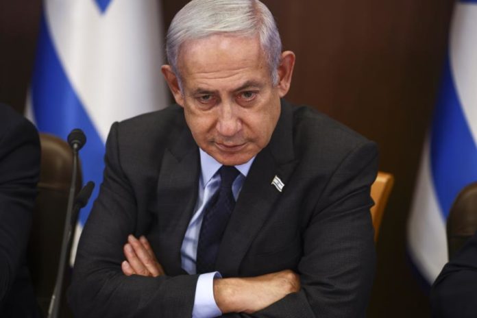 41126037.jpg