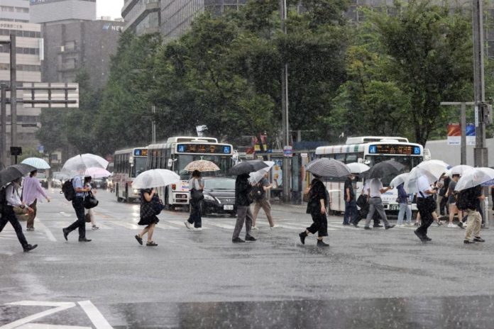 41164536.jpg