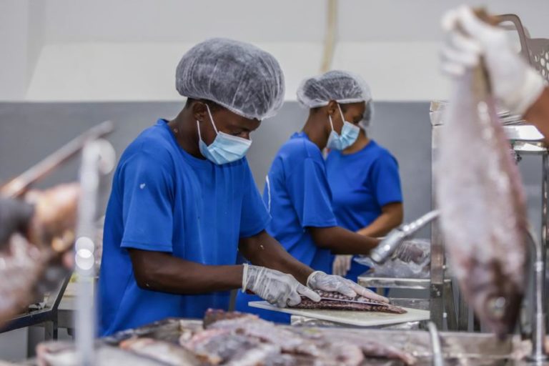 As “dores” de mãe e filhas deram origem a empresa que transforma peixe em Cabo Verde