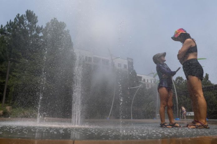 41209188.jpg