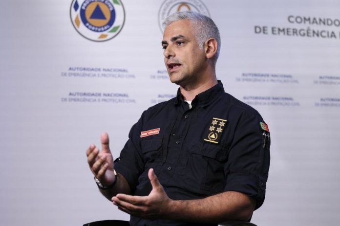 41218901.JPG