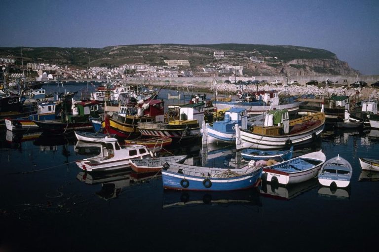 Portugal tem menos de 11% da frota de pesca da União Europeia