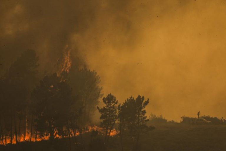 Cerca de 40 concelhos de seis distritos em perigo máximo de incêndio