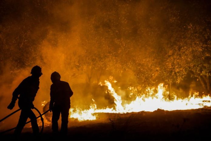 39217003.jpg