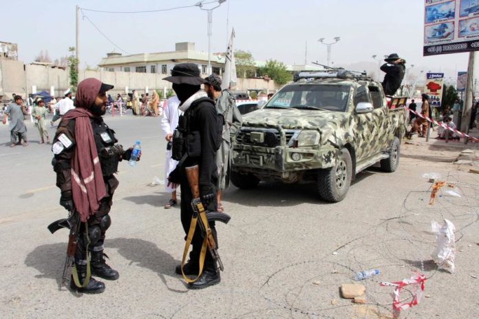 41261295.jpg