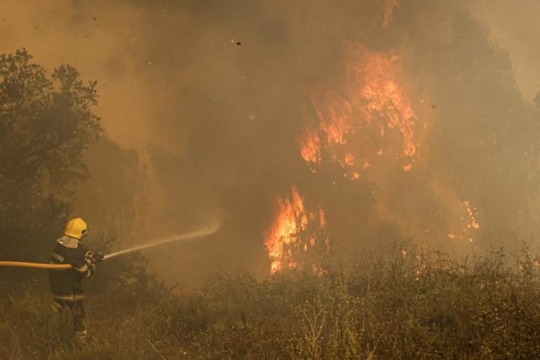 Interior Norte e Centro e região do Algarve em perigo máximo de incêndio