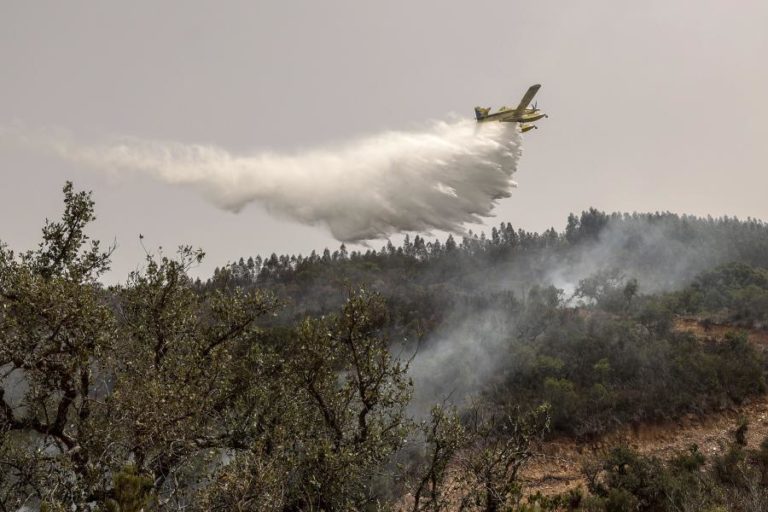 Trinta e oito concelhos de oito distritos em perigo máximo de incêndio
