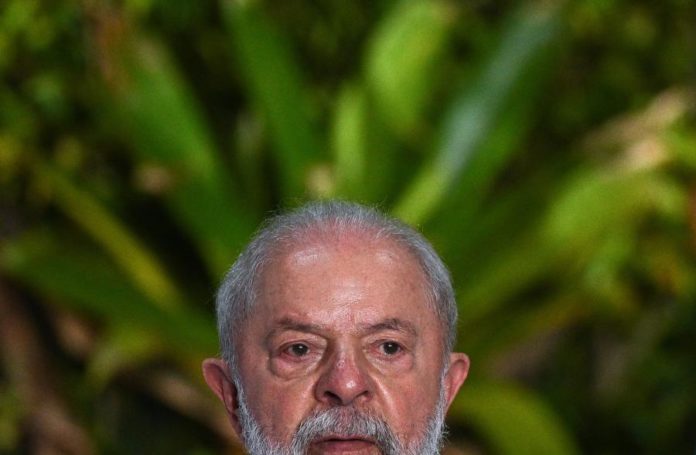 41319086.jpg