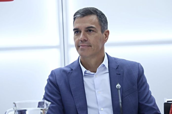 41348115.jpg