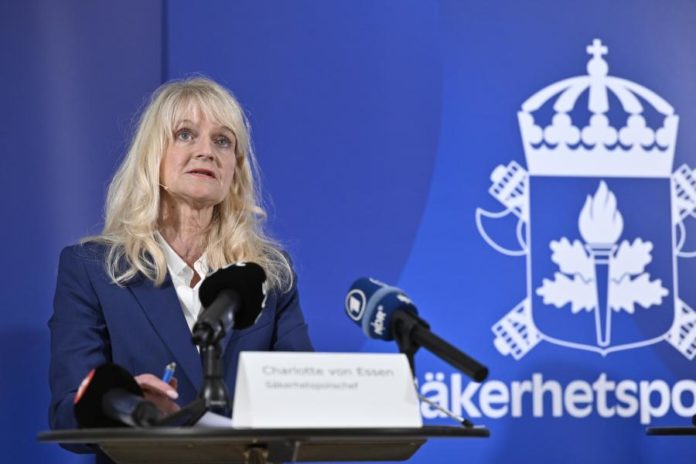 41353050.jpg