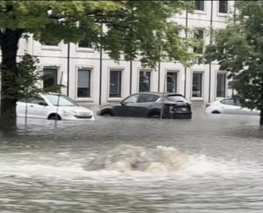 FOTO: X/JacksonTheCat2