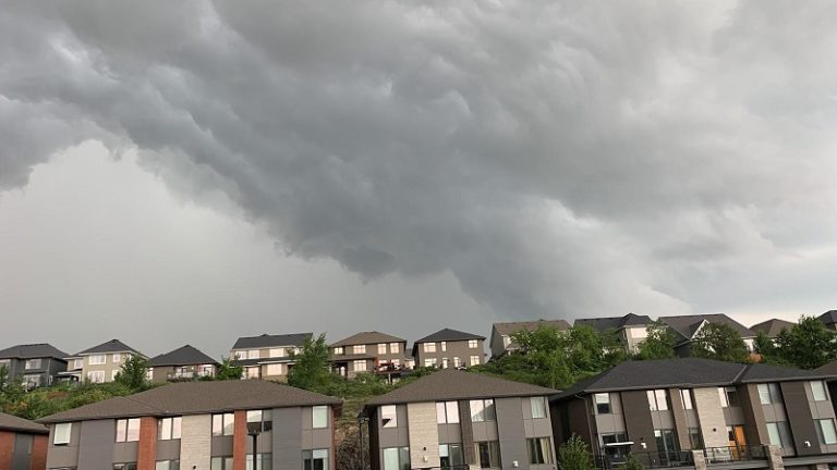 Foto: Matt Rudd/Twitter