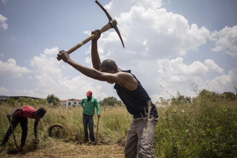Alterações climáticas agravam crise alimentar e conflitos em África