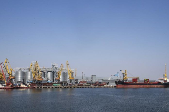 39212951.JPG