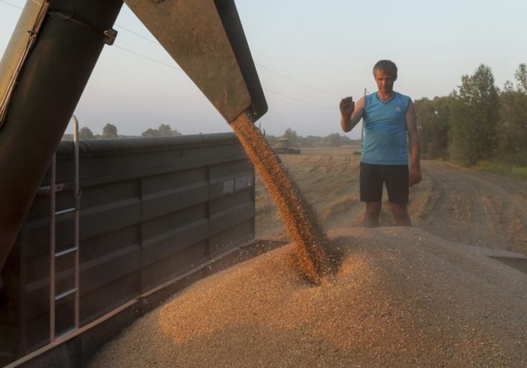 Secretário-geral da ONU pede garantias para exportações de cereais ucranianos