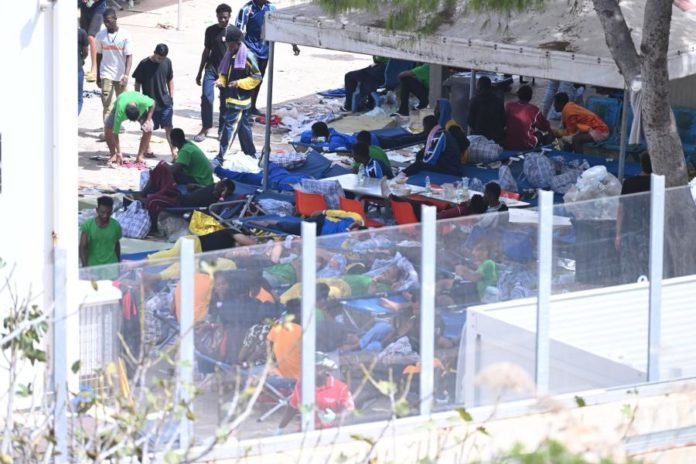 41529549.jpg
