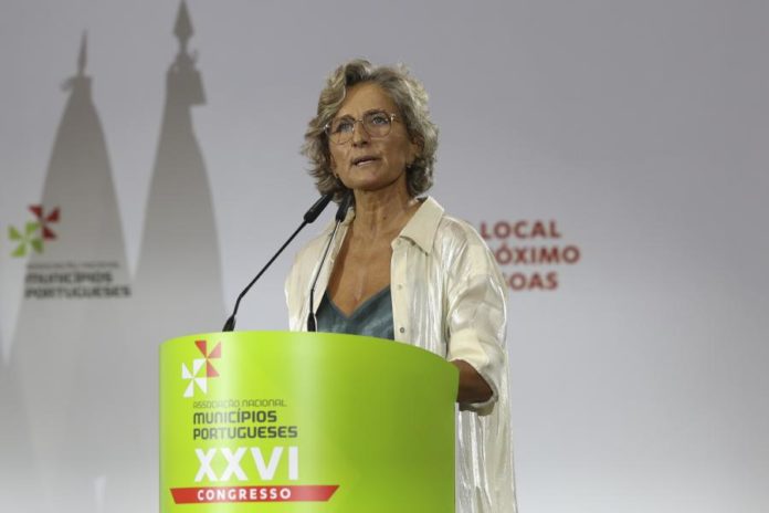41595908.JPG