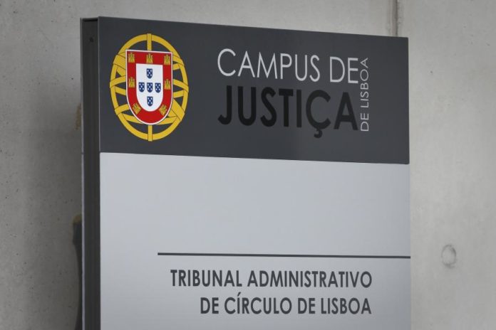 15518186.jpg