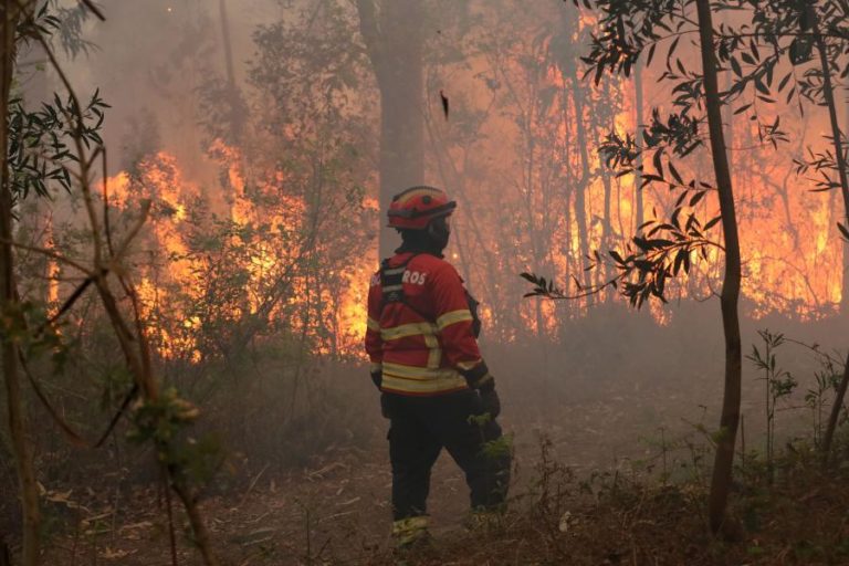 Doze concelhos de cinco distritos em perigo máximo de incêndio