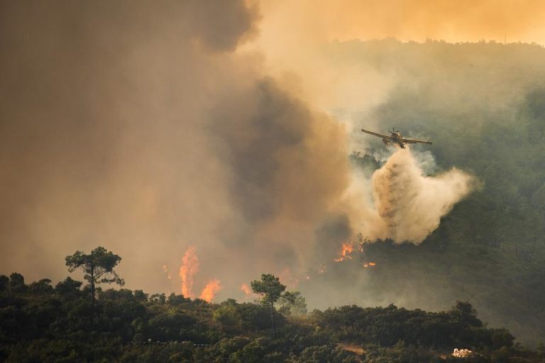 Três concelhos de Santarém em perigo máximo de incêndio