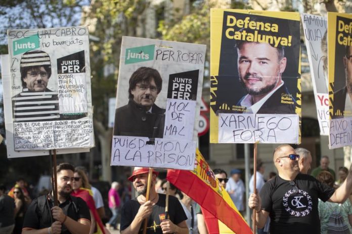 41637834.jpg