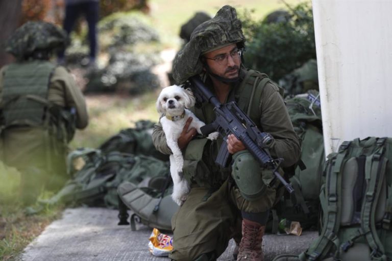 Mais de mil mortos israelitas na ofensiva do Hamas