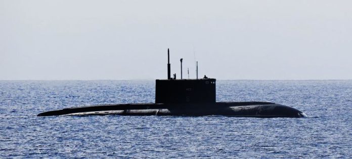 41678947.jpg