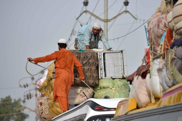 41747435.jpg