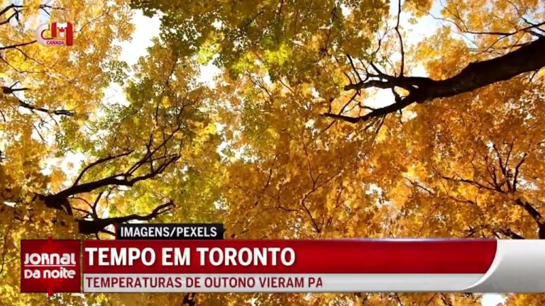 Tempo em Toronto: Temperaturas de outono vieram para ficar