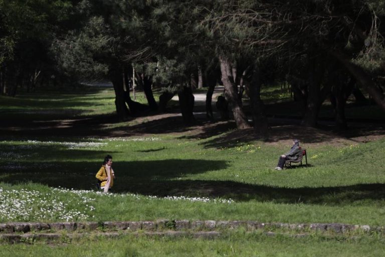 Áreas de vegetação “diminuíram drasticamente” no Porto desde 1947