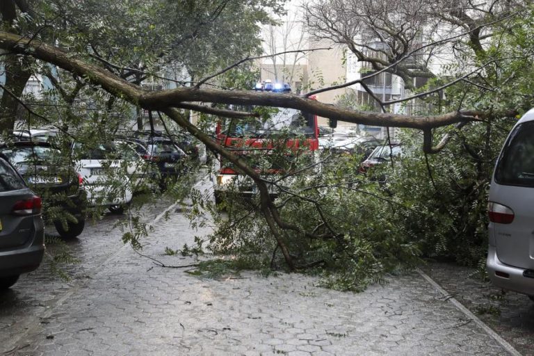 Quase 200 ocorrências entre as 00:00 e as 07:00 no Norte e no Centro