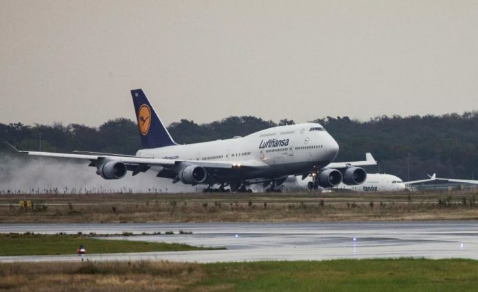41662928.jpg