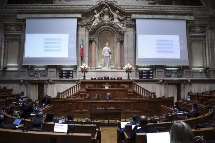 41816347.jpg