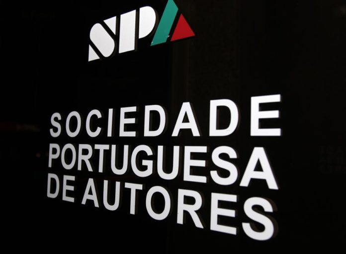 9120613.jpg