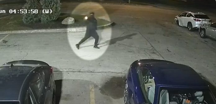 Foto: York Regional Police/YouTube