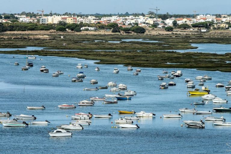 ICNF vai ordenar ancoragem de embarcações de recreio na Ria Formosa