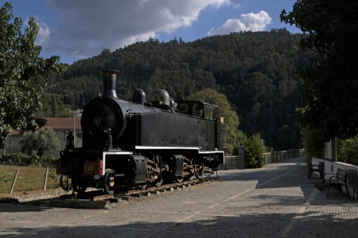 25730235.jpg