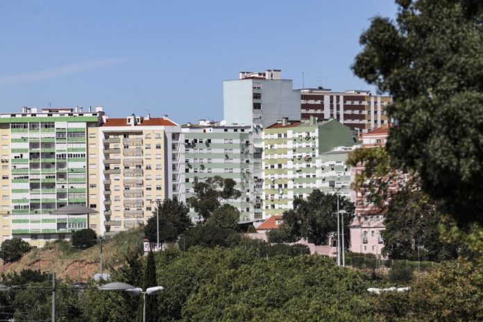 41424520.jpg