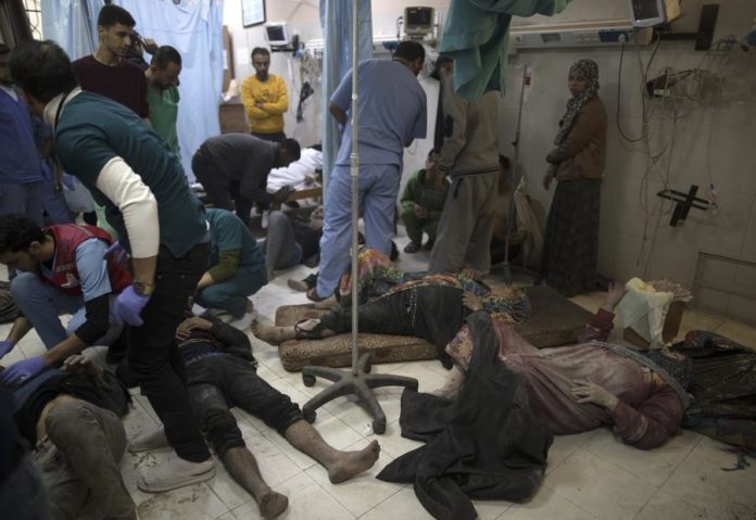 41965519.jpg