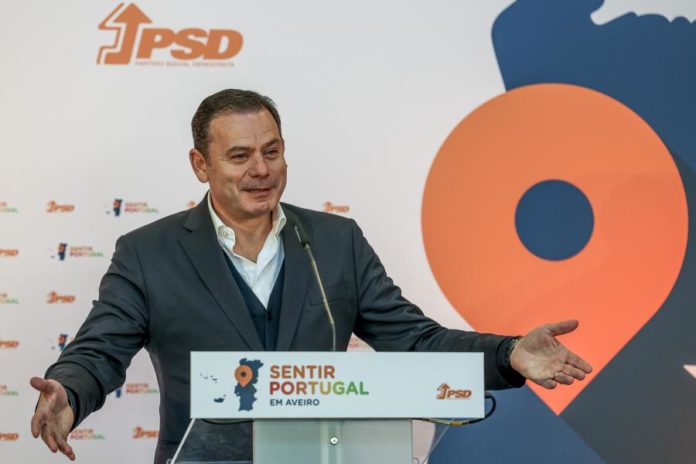 42019118.JPG