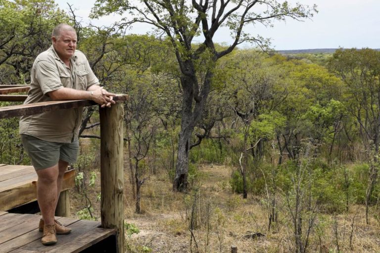 Namibiano quer criar em Angola o maior parque africano de safaris privado em África