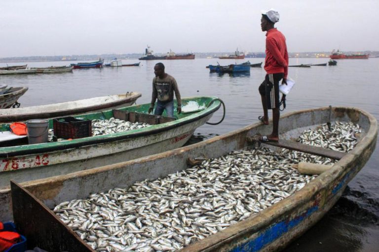 Maioria das embarcações de pesca esconde atividade e muitas pescam em zonas protegidas