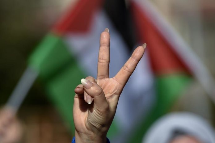 42170314.jpg