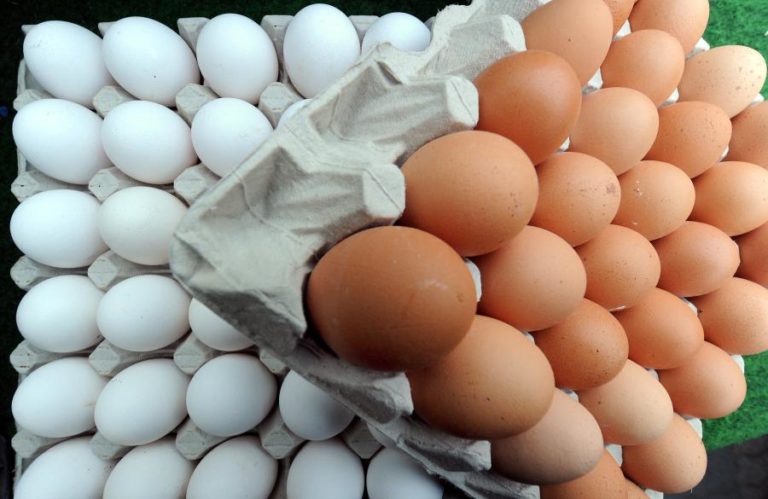 Noruegueses vão à Suécia comprar ovos para a Páscoa devido a escassez no país