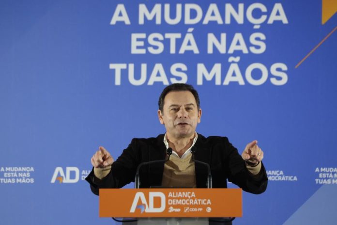 42443082.jpg