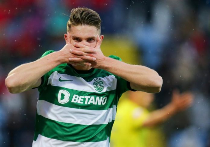 42492982.jpg
