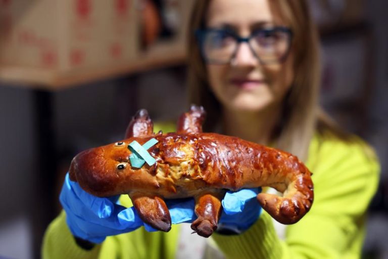 Bolos em forma de lagartos, bonecas e pintos são tradição na Páscoa em Elvas