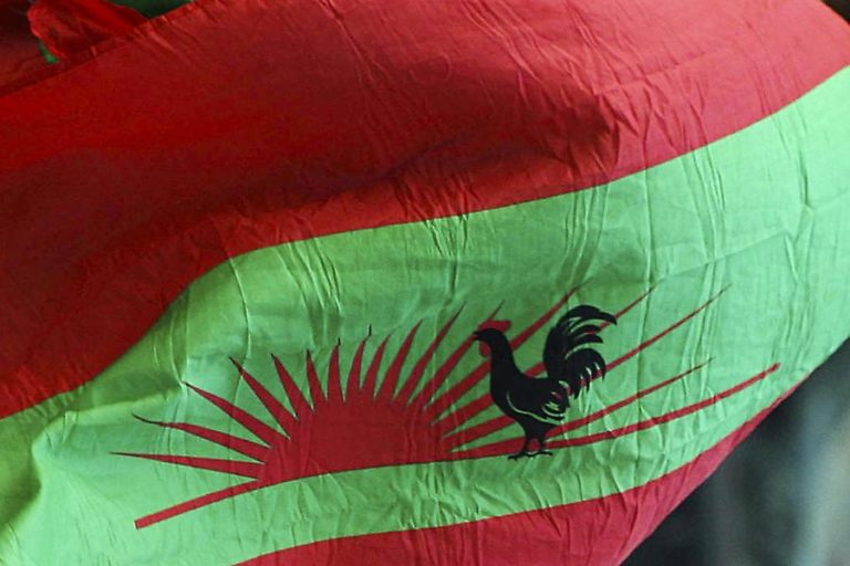 ONG angolanas condenam ataque contra caravana da UNITA que “mancha” reconciliação