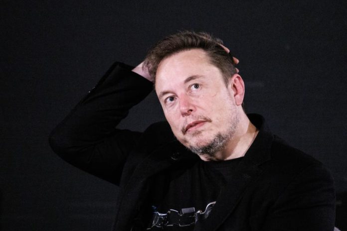 41782476.jpg