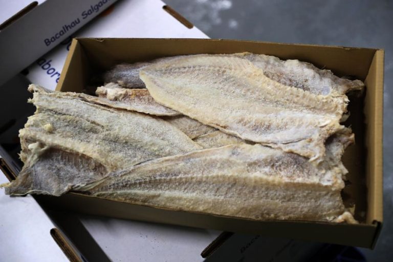 Quatro mil visitantes esperados no regresso do “Enterro do Bacalhau” do Soutocico Leiria (C/ÁUDIO)